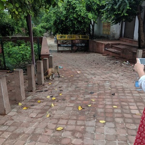 IMG_20190708_073054.jpg